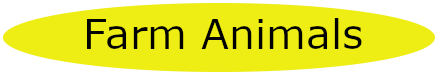 Farm Animals