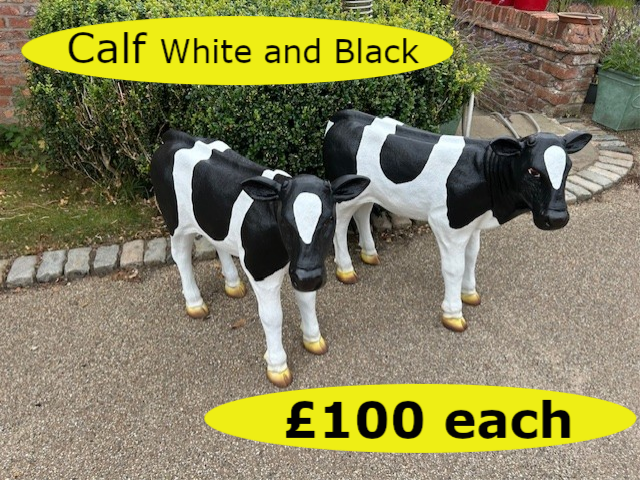 Calf (W&B)01