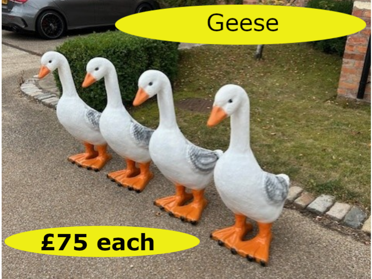 Geese01