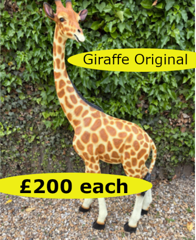 Giraffe01