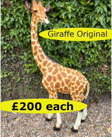 Giraffe02