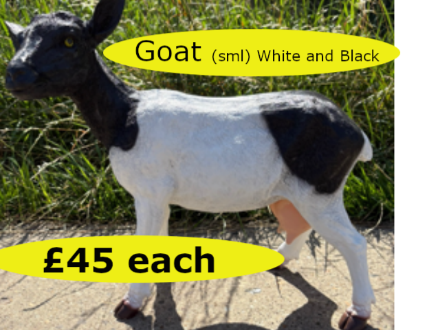 Goat (W&B)01