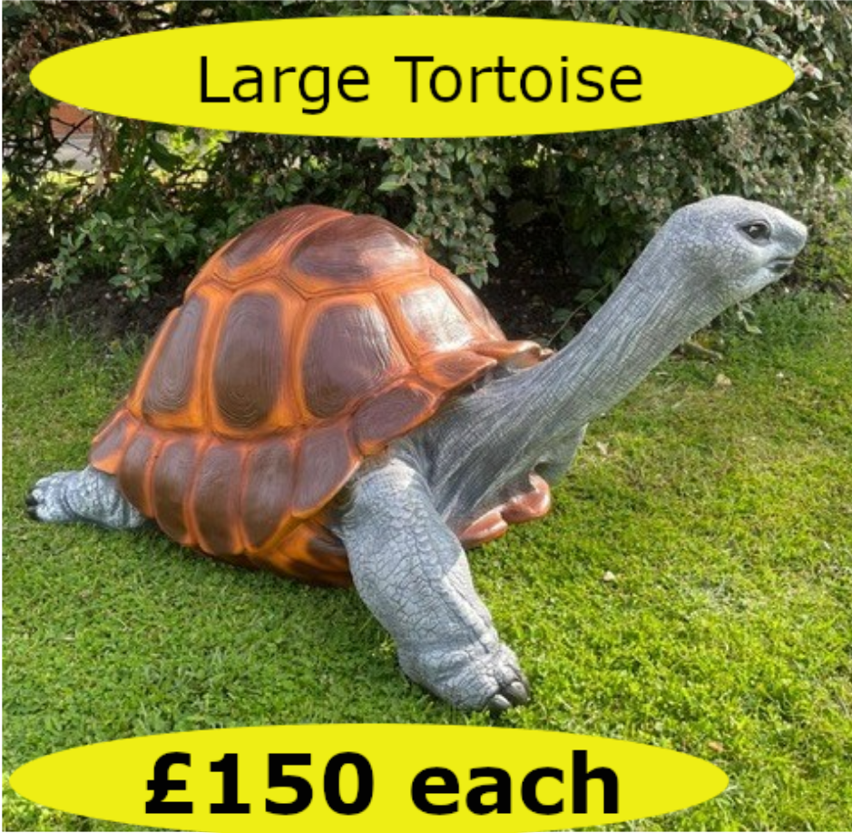 LargeTortoise
