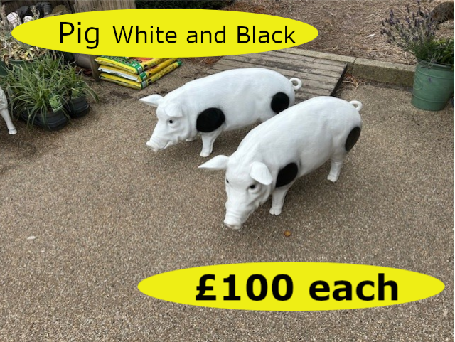 Pigs (W&B)01