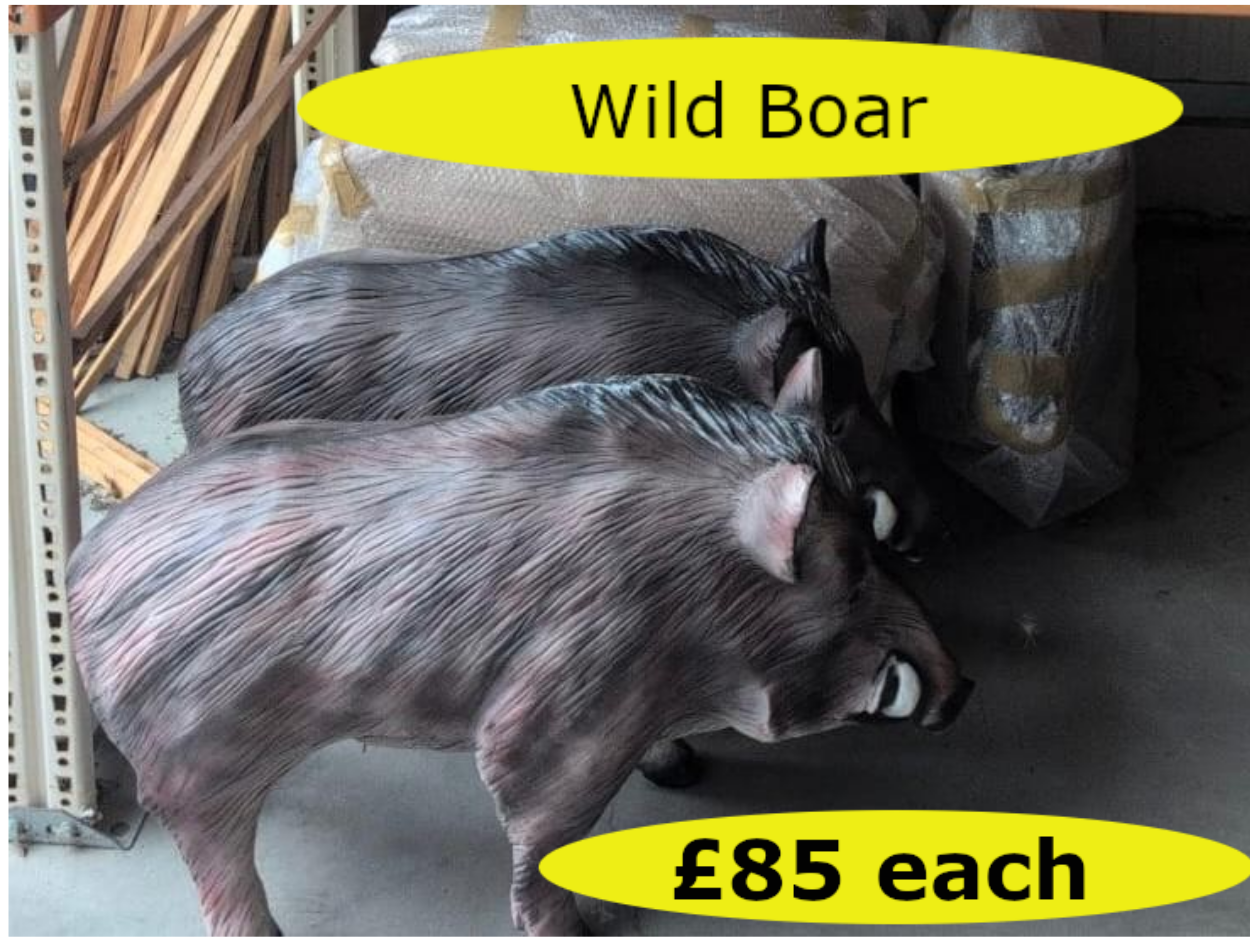 WildBoar