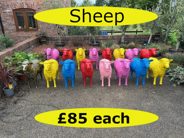sheep01